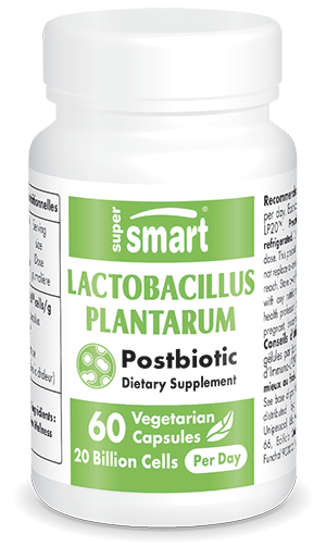 Lactobacillus plantarum HK L-137 Probiotic
